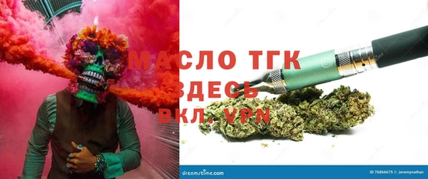 стаф Семилуки