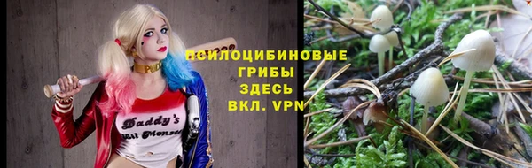 таблы Белокуриха